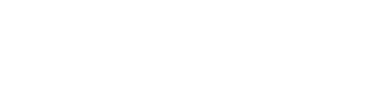 The Austria Post